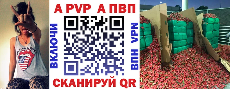 APVP СК  Ессентуки 