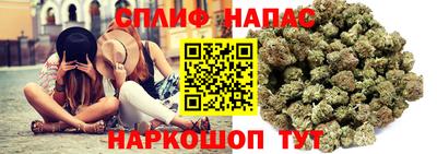 шишки Балашиха
