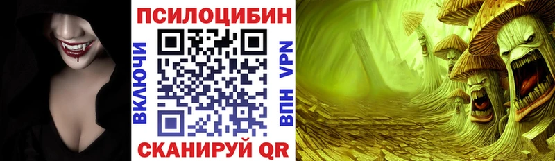 OMG ССЫЛКА  Ессентуки  Псилоцибиновые грибы Cubensis 
