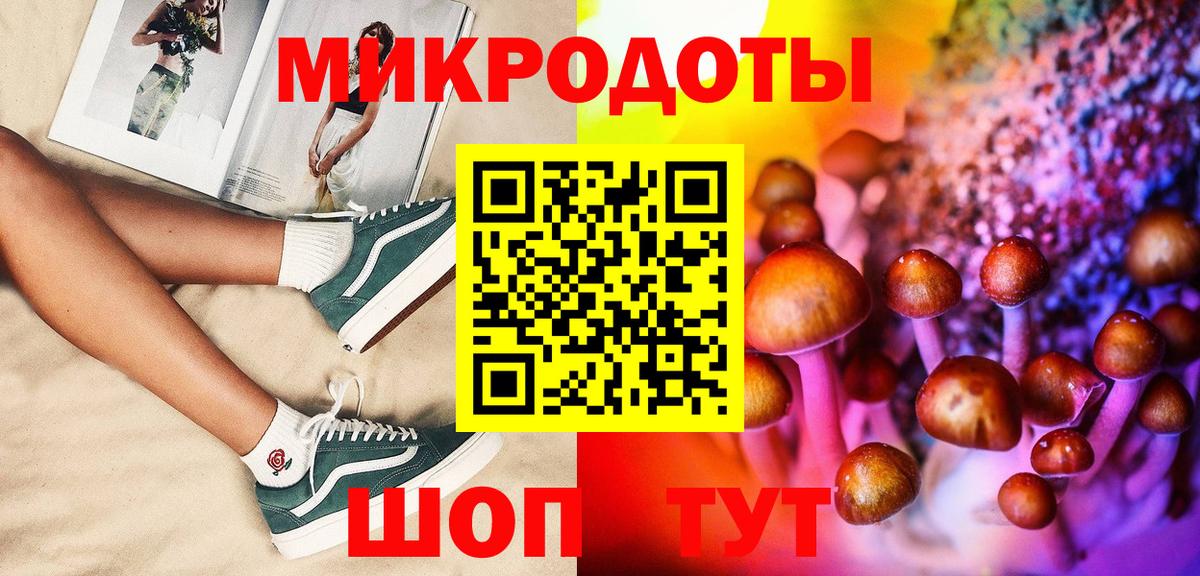 Псилоцибиновые грибы Psilocybine cubensis Ессентуки
