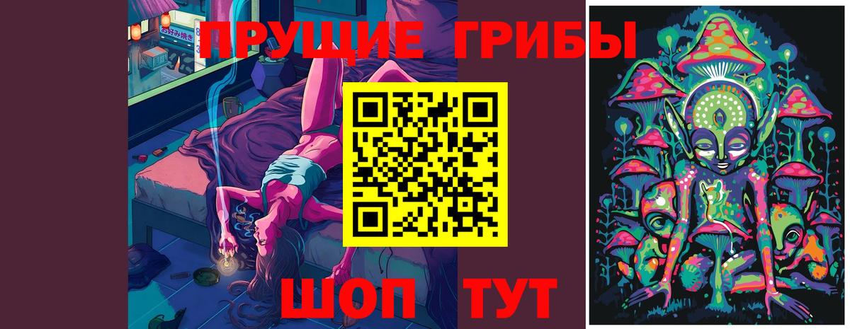 Галлюциногенные грибы прущие грибы  Вход с VPN  Ессентуки 