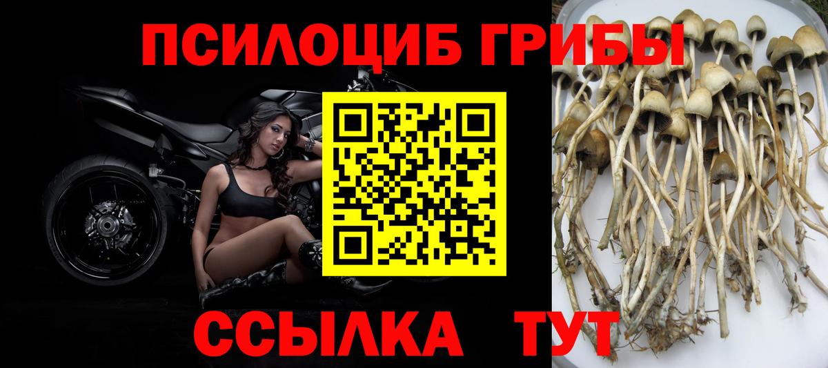 Псилоцибиновые грибы Magic Shrooms Ессентуки