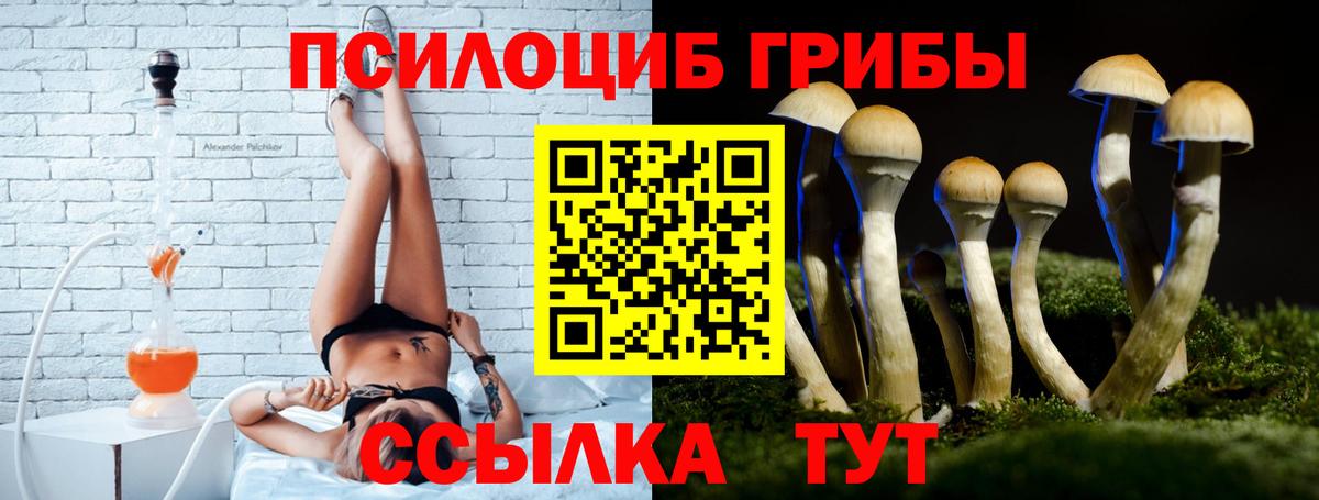 Псилоцибиновые грибы ЛСД  Псилоцибиновые грибы мухоморы  купить   Ессентуки 