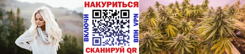 Бошки Шишки сатива  сколько стоит  Ессентуки 