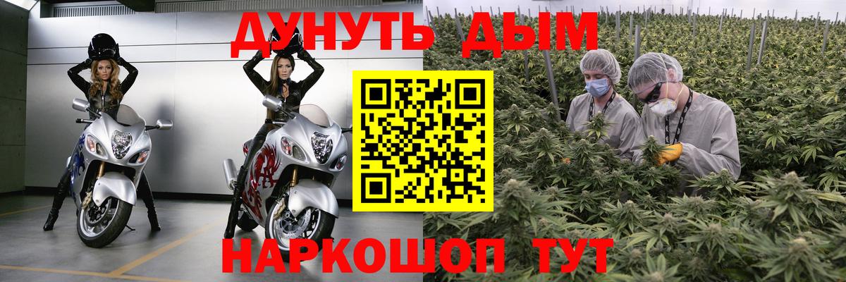 Марихуана Bruce Banner  Бошки марихуана Amnesia  Марихуана Amnesia  Ессентуки 